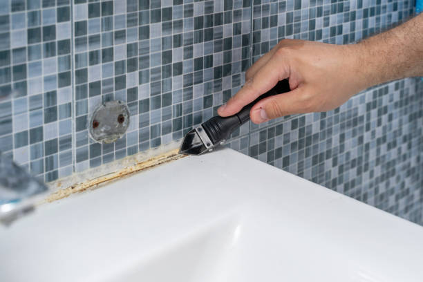 Best Residential Mold Removal  in Westchester, IL