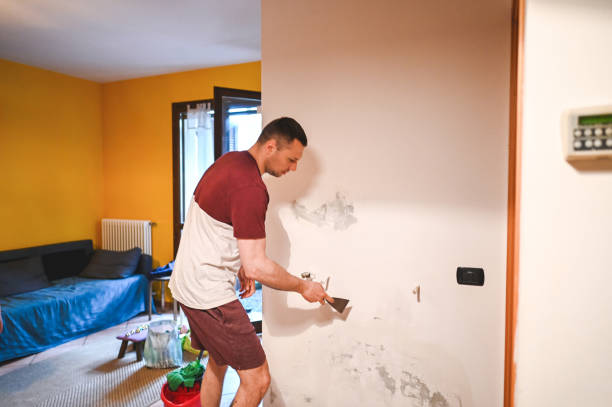Office Mold Removal Services in Westchester, IL